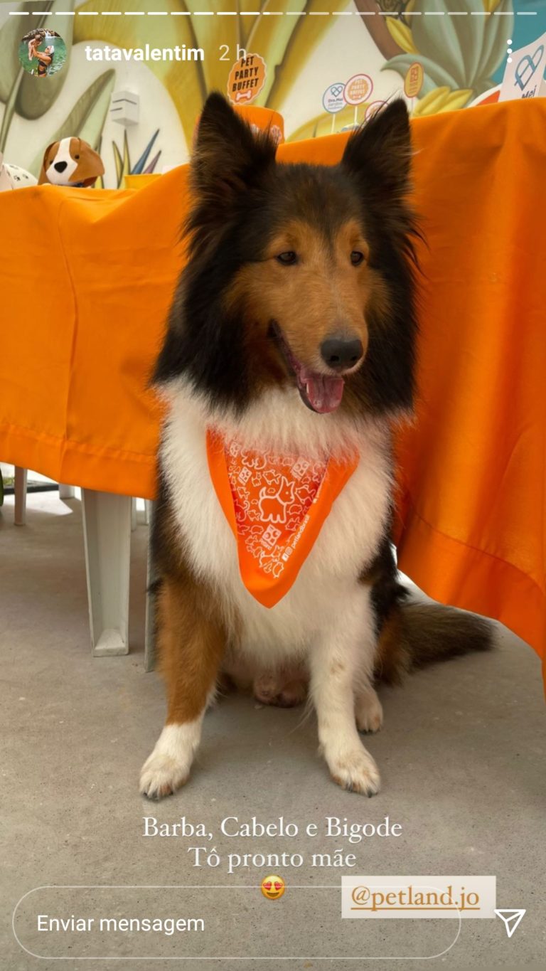 Marketing de influencia case petland (1)
