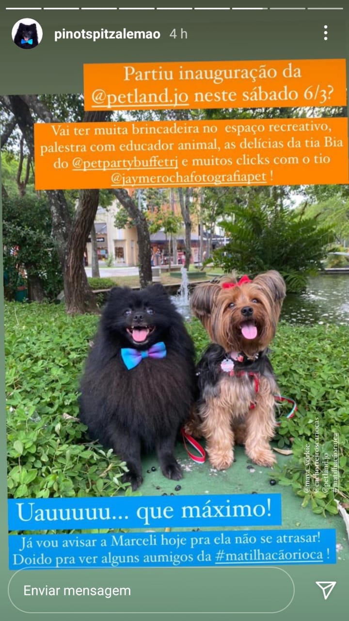 Marketing de influencia case petland (1)