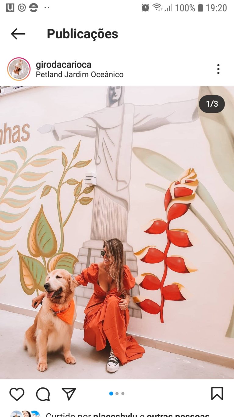 Marketing de influencia case petland (2)