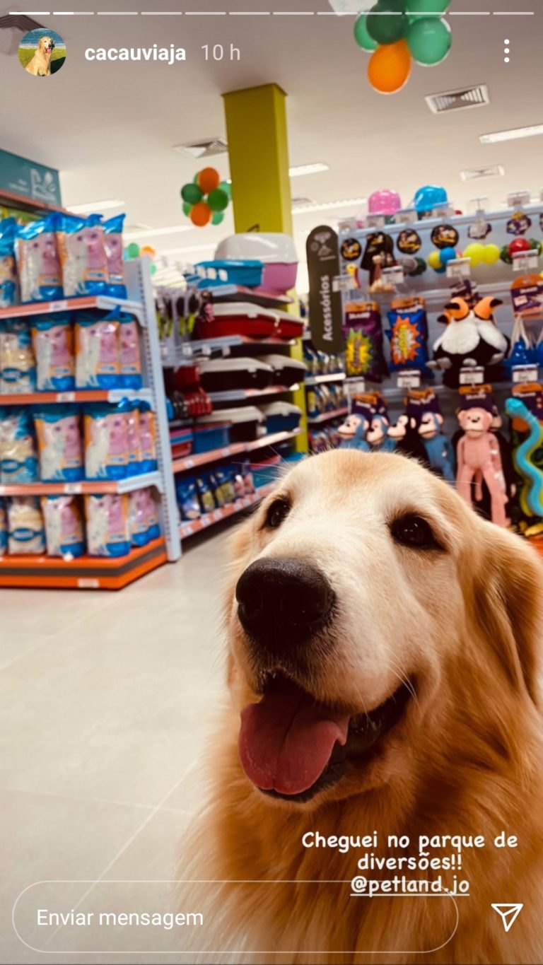Marketing de influencia case petland (4)