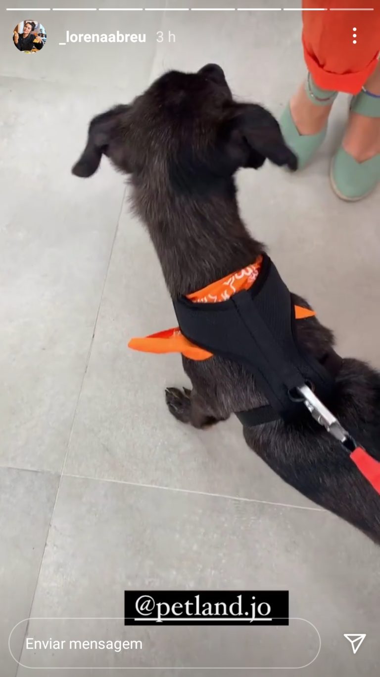 Marketing de influencia case petland (5)