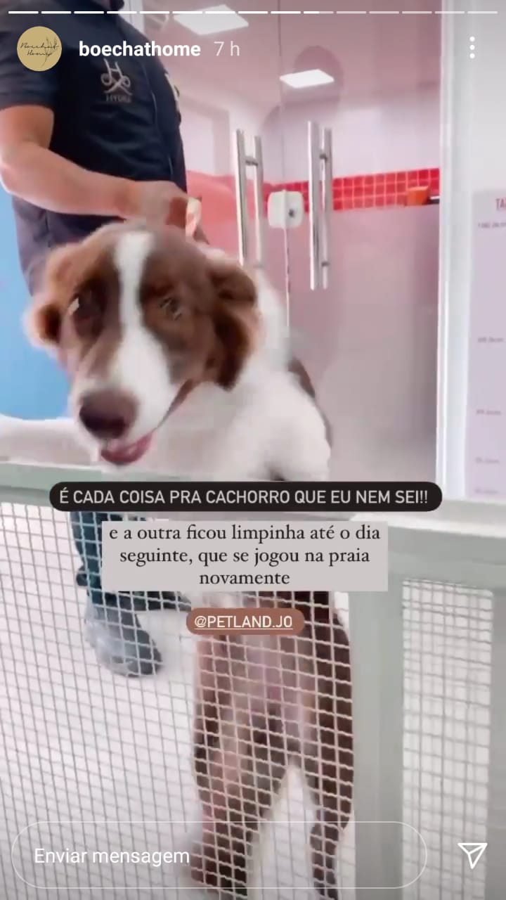 Marketing de influencia case petland (5)