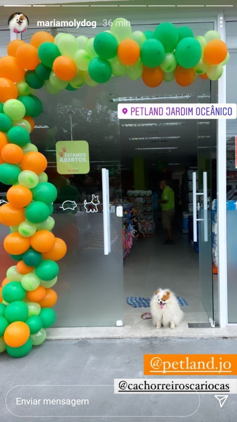 Marketing de influencia case petland (6)