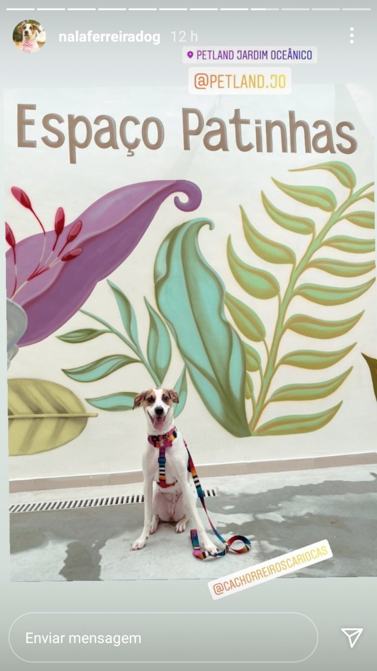 Marketing de influencia case petland (8)